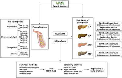 Causal relationship between plasma lipidome and four types of pancreatitis: a bidirectional Mendelian randomization study